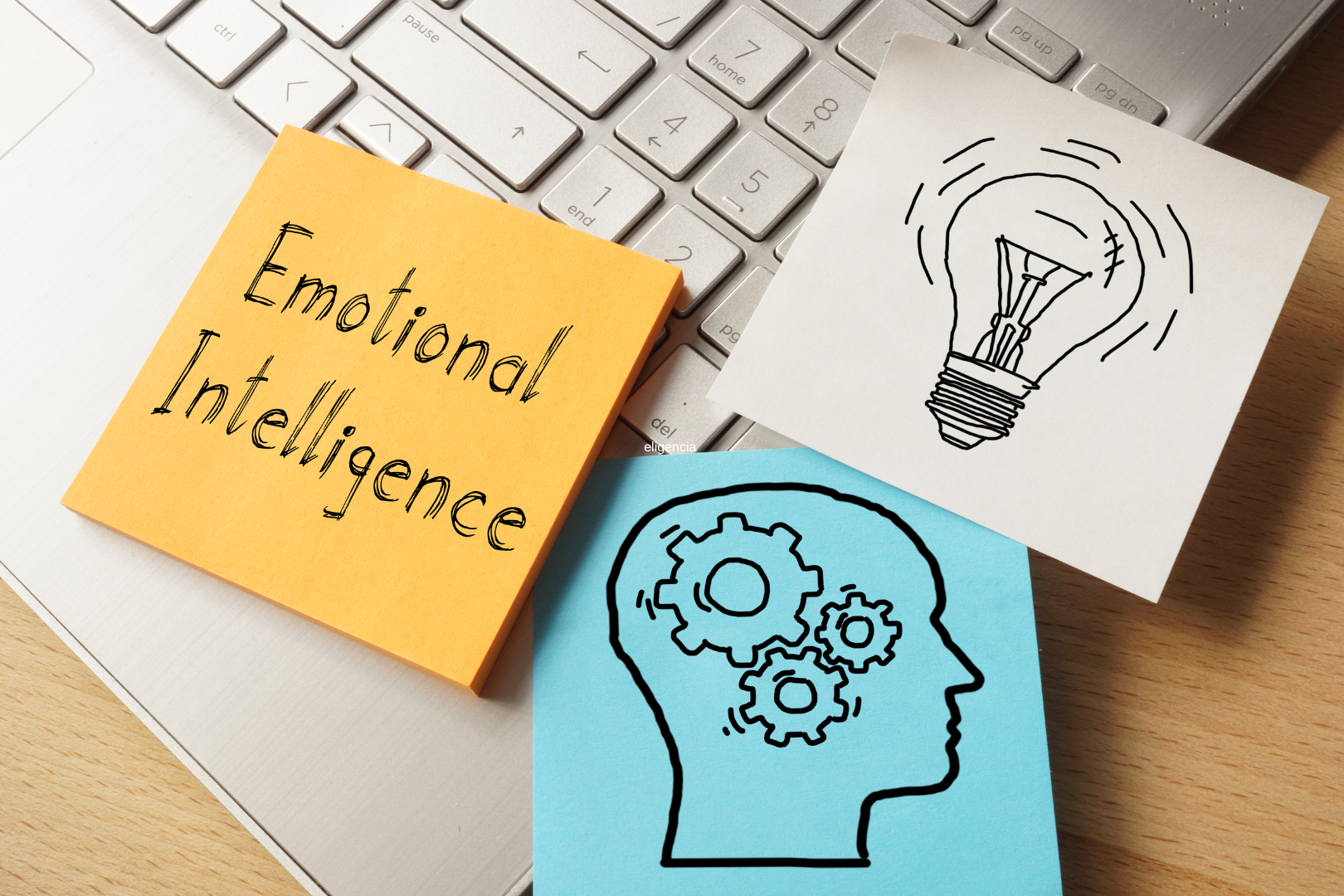 Emotional Intelligence